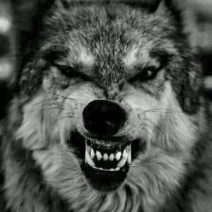 Meet your Posher, Johnny